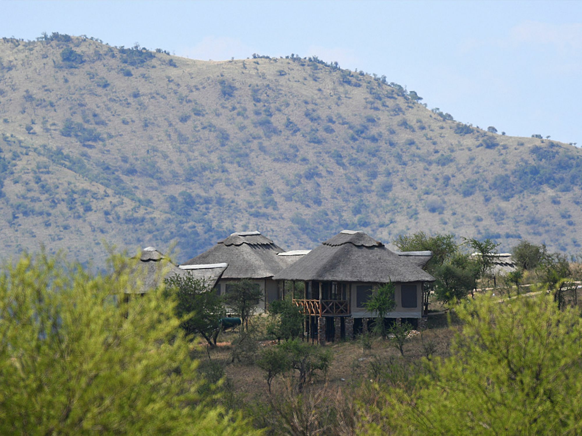 Serengeti Safari Lodge エクステリア 写真