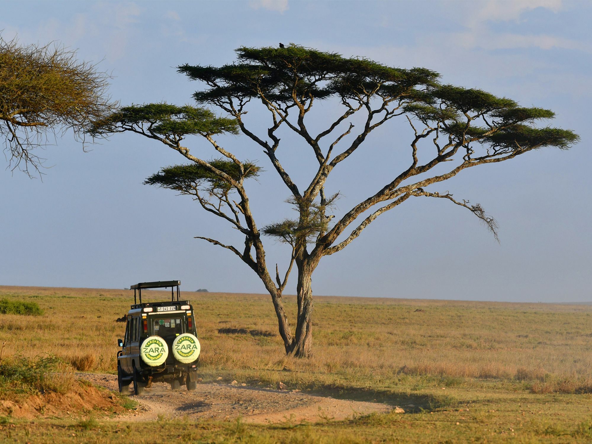 Serengeti Safari Lodge エクステリア 写真